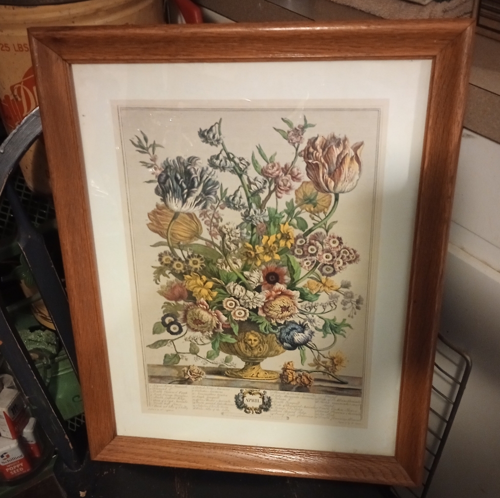 Vintage Floral Botanical Print in Wooden Frame (18.5 X 22.5)